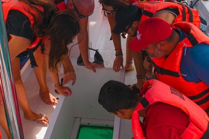 Whale Watching Experience in Cabo San Lucas 2 hours - Is It Worth the Price?