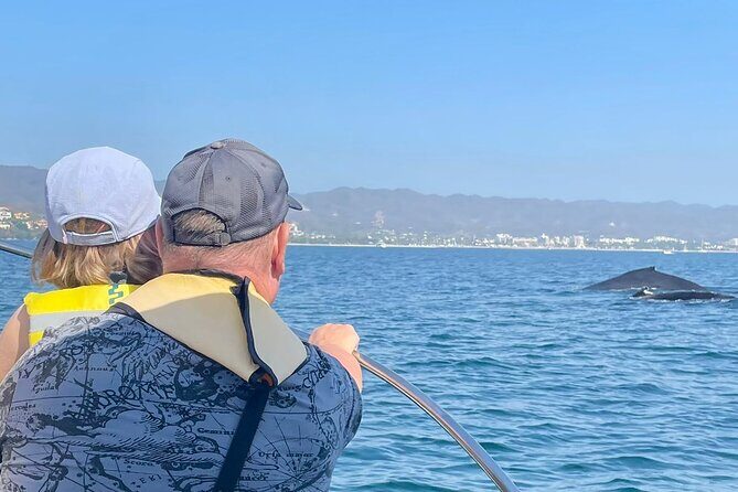 Whale Watching Experience in Puerto Vallarta - Detailed Review of the Whale Watching Tour