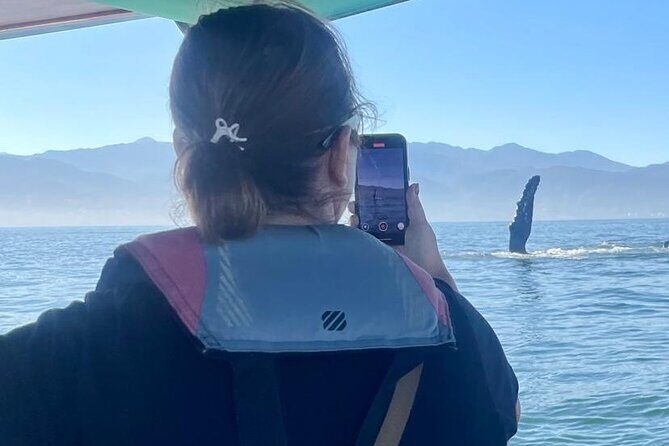Whale Watching Experience in Puerto Vallarta - Authentic Perspectives from Travelers