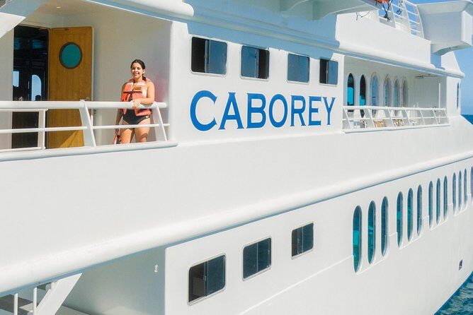 Whale Watching Experiencie with breakfast - The Experience in Detail