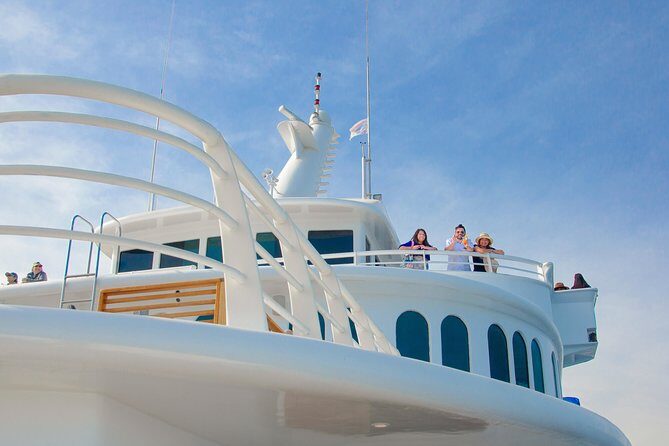 Whale Watching Experiencie with breakfast - The Atmosphere and Extras