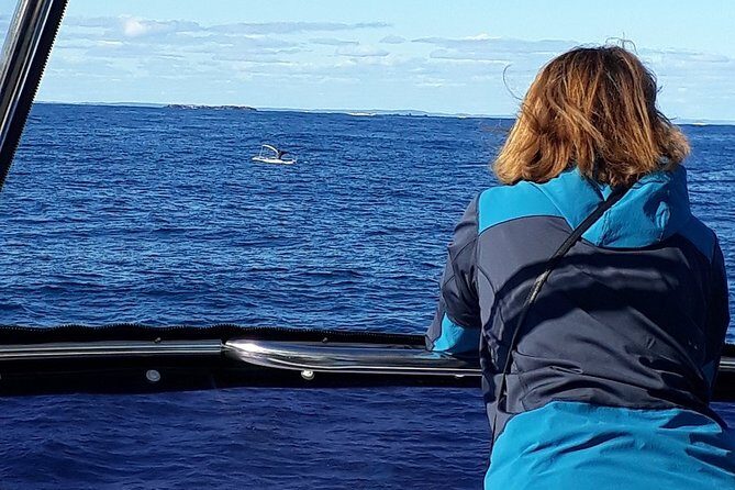 Whale Watching from Augusta in Western Australia - FAQ