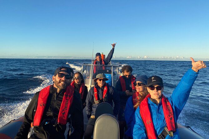 Whale Watching Gold Coast - Who Is This Tour Best For?