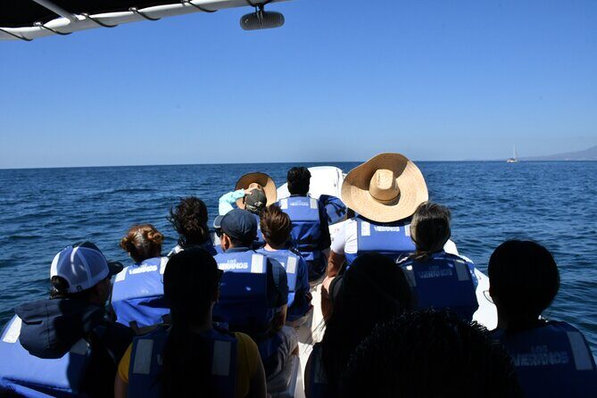 Whale Watching Guaranteed Experience in Puerto Vallarta - The Guides and Safety