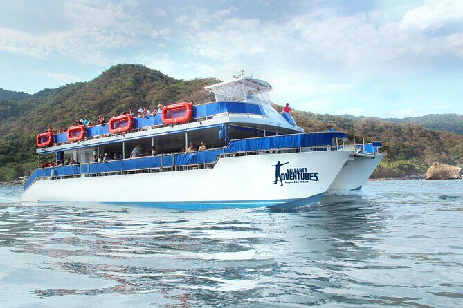 Whale Watching in Puerto Vallarta - Who Is This Tour Best For?