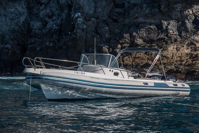 Costa Adeje | Cetacean sighting in Tenerife South - The Broader Experience