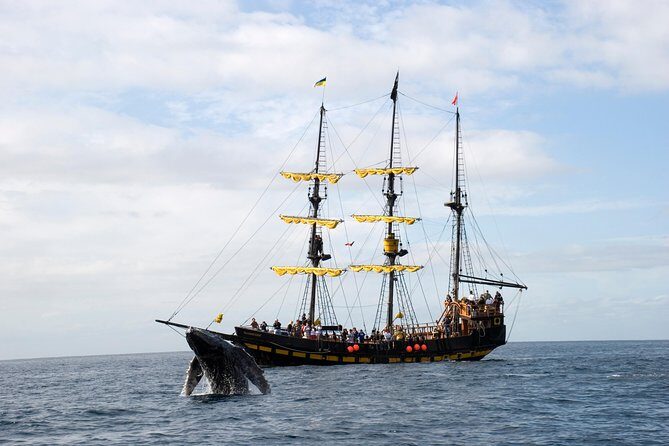 Whale-Watching Pirate Ship Cruise in Los Cabos - The Crew and Atmosphere