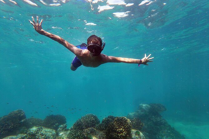 Whale Watching & Snorkeling Combo in Los Cabos with Photos Included - An Honest Look at the Whale Watching & Snorkeling Tour