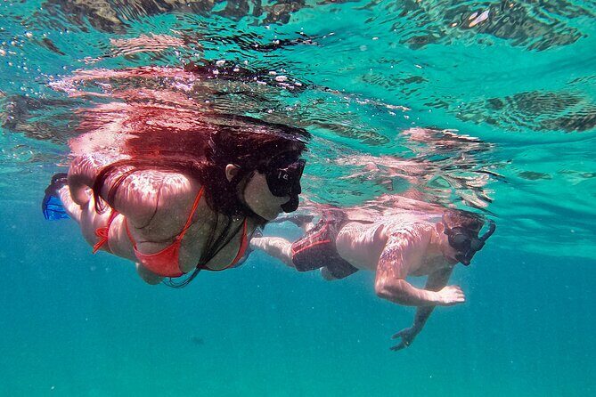 Whale Watching & Snorkeling Combo in Los Cabos with Photos Included - The Practical Side: Cost, Duration, and Group Size