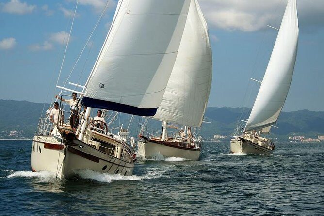 Whale Watching The Best Of Puerto Vallarta - FAQ