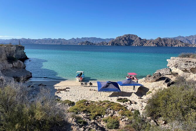 Whale Watching Tour - Frequently Asked Questions