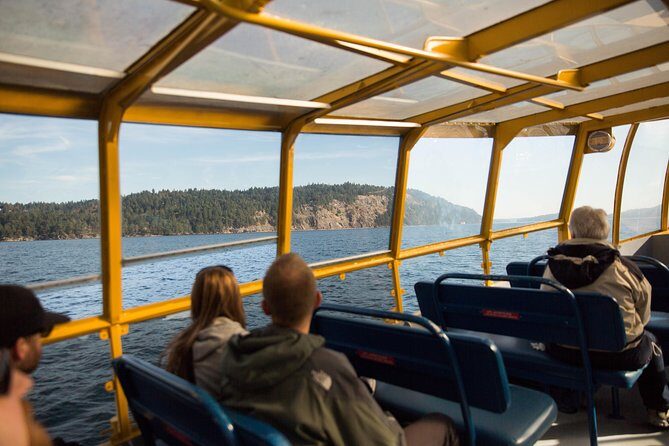 Whale-Watching Tour from Vancouver - What’s the Experience Really About?