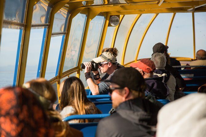 Whale-Watching Tour from Vancouver - The Scenic Surroundings