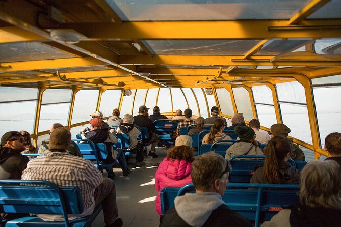 Whale-Watching Tour from Vancouver - Cost and Value