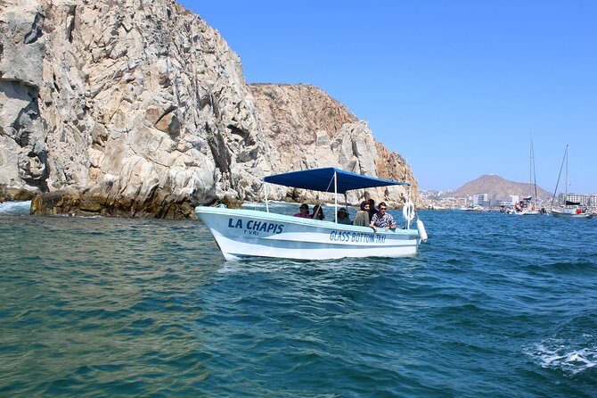 Whale Watching Tour in Glass Bottom Boat (VisitA Cabo) - Authentic Traveler Perspectives - What People Are Saying