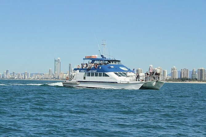 Whale Watching Tour with Spirit of Gold Coast - Final Thoughts
