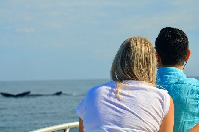 Whale Watching Warranty in San José del Cabo Snacks and drinks - The Reviews Speak for Themselves