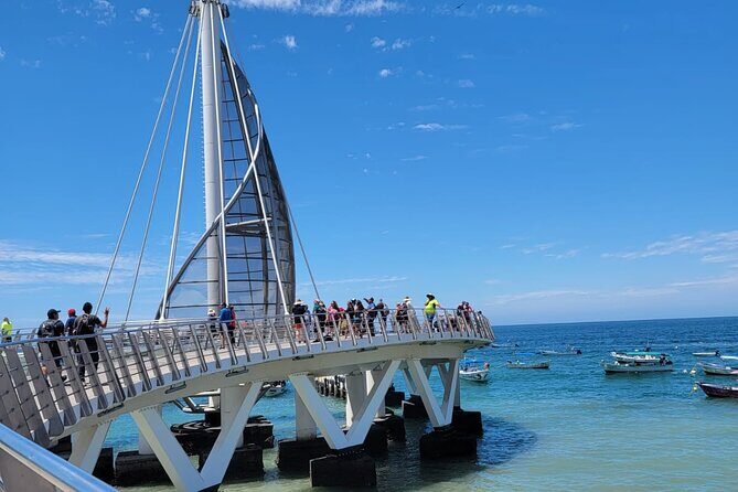 Whale watching with Snorkeling and beach Colomitos - The Pros and Cons