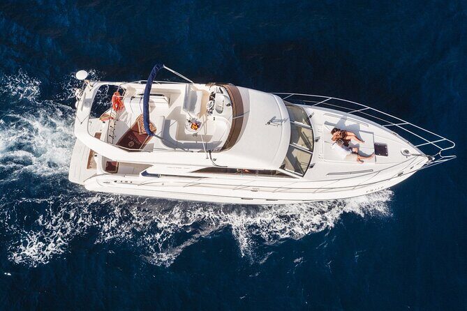 Whales and Dolphins excursion on a Luxury Yacht in Canary Islands - All You Need to Know About the Yacht Whale and Dolphin Tour