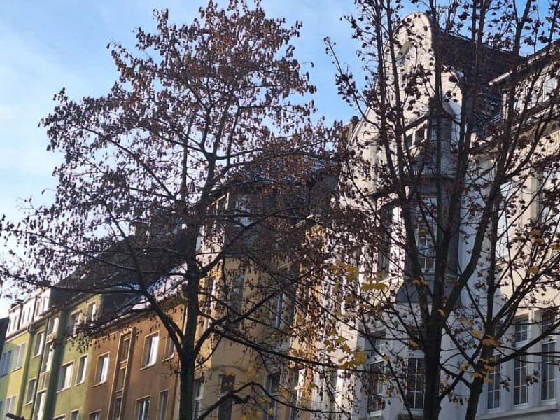 What made Dortmund rich: bike tour incl. drink - A detailed look at the tour experience