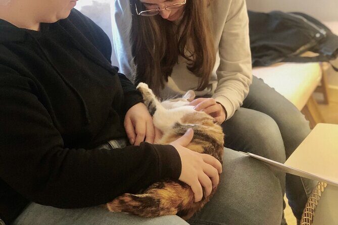 Whiskers & Coffee: Relax and Play with Adorable Cats - An Honest Look at Whiskers & Coffee