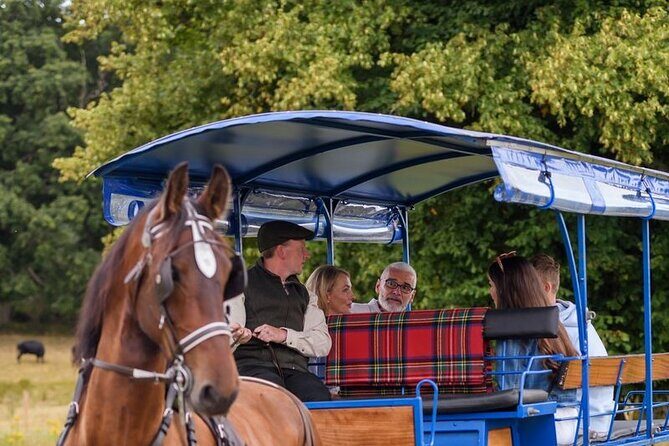 Whiskey & Wonders in Killarney - What is Whiskey & Wonders in Killarney?