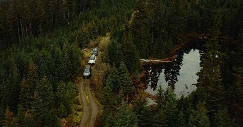 Whistler: Afternoon Bears Spotting Tour in Land Rover - Key Points