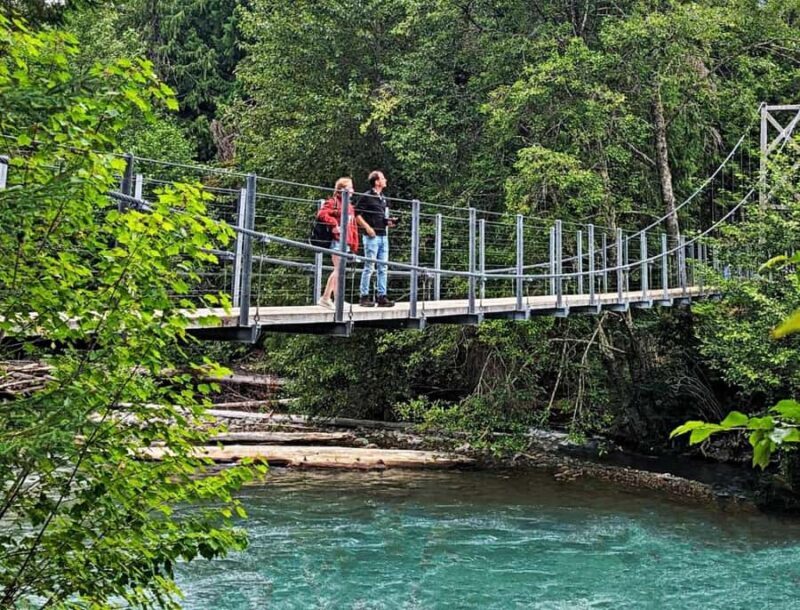 Whistler: Afternoon Bears Spotting Tour in Land Rover - What’s Not Included?