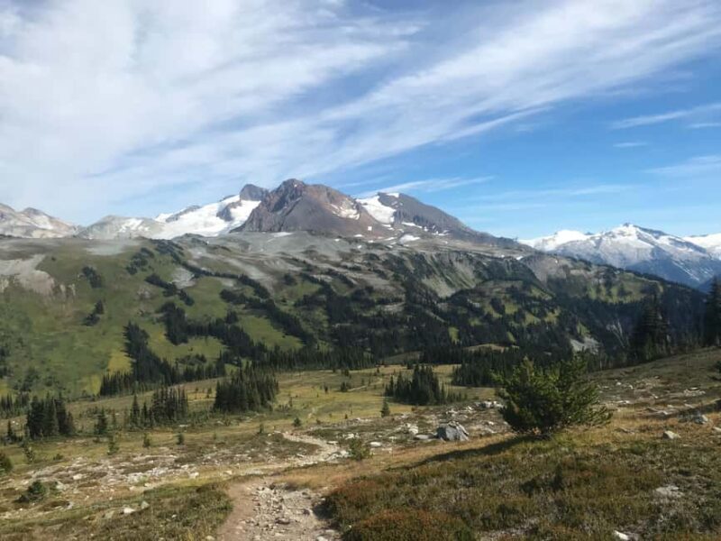 Whistler: Alpine Hiking Tour with Gondola Ride - Key Points