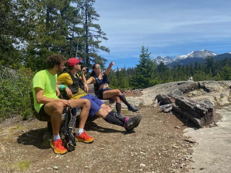 Whistler: Alpine Hiking Tour with Gondola Ride - An In-Depth Look at the Whistler Alpine Hiking Tour