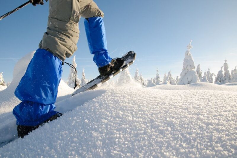 Whistler: Backcountry Snowshoeing Tour with Guide - Who Should Consider This Tour?