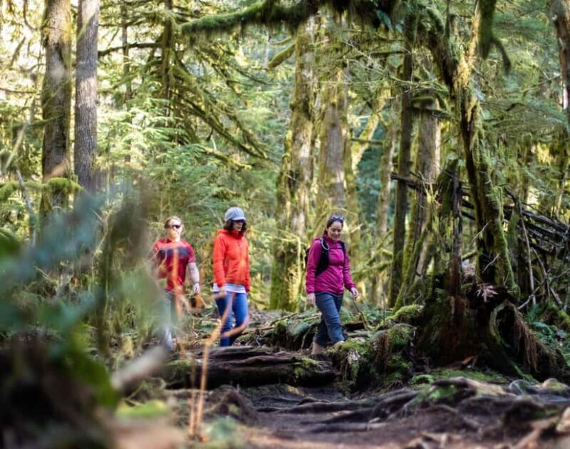 Whistler: Cheakamus Lake Guided Hike in Garibaldi Park - FAQ