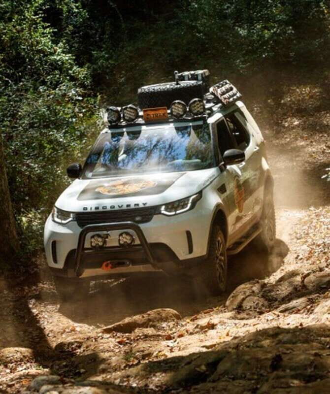 Whistler: Morning with the Bears Land Rover Scenic Excursion - Final Thoughts