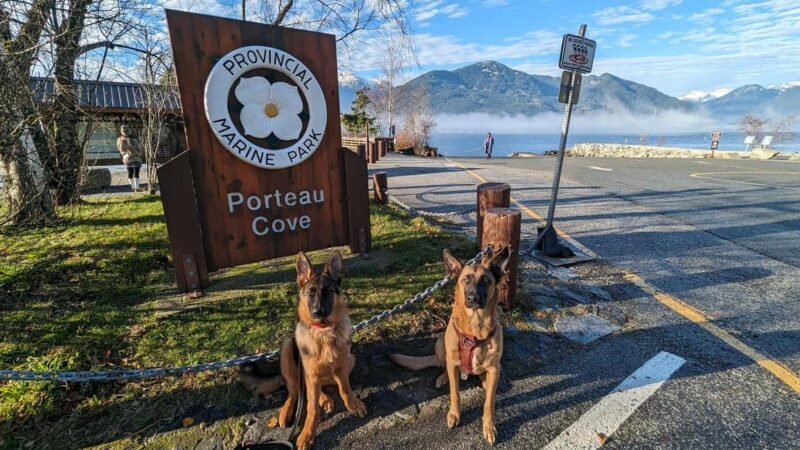 Whistler, Sea to Sky Gondola, Shannon Fall & Green Lake Tour - FAQ