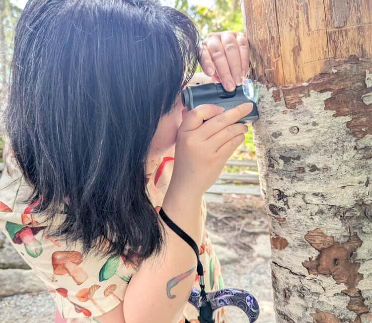 Whistler: Tour, Immersive Nature Experience - Key Points