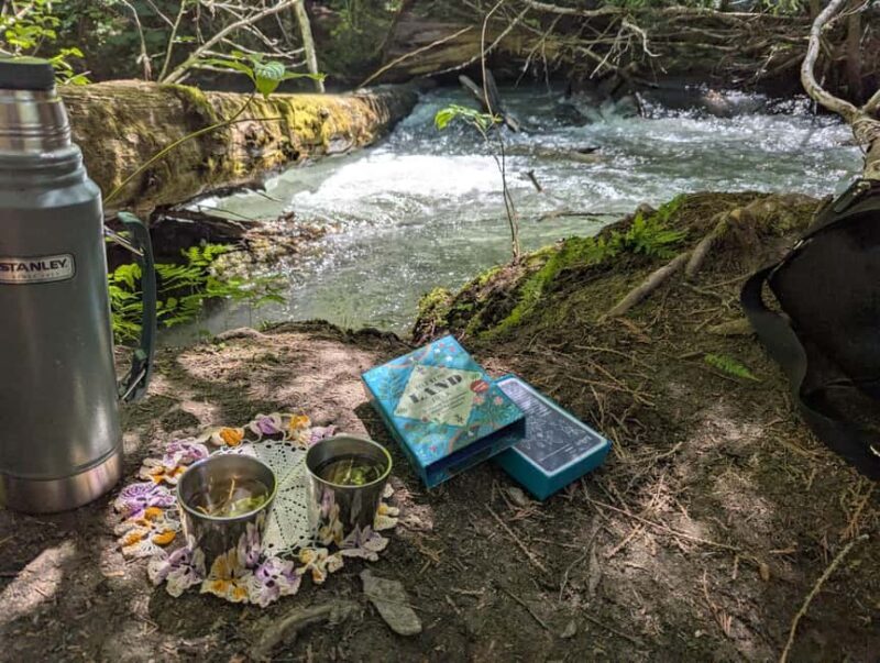 Whistler: Tour, Immersive Nature Experience - What is this tour all about?