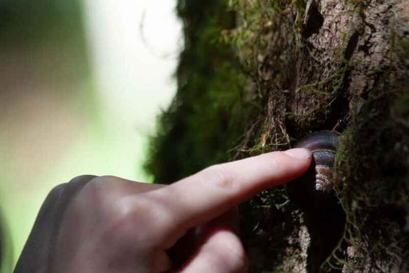 Whistler: Tour, Sensory Nature Experience for Families - Key Points