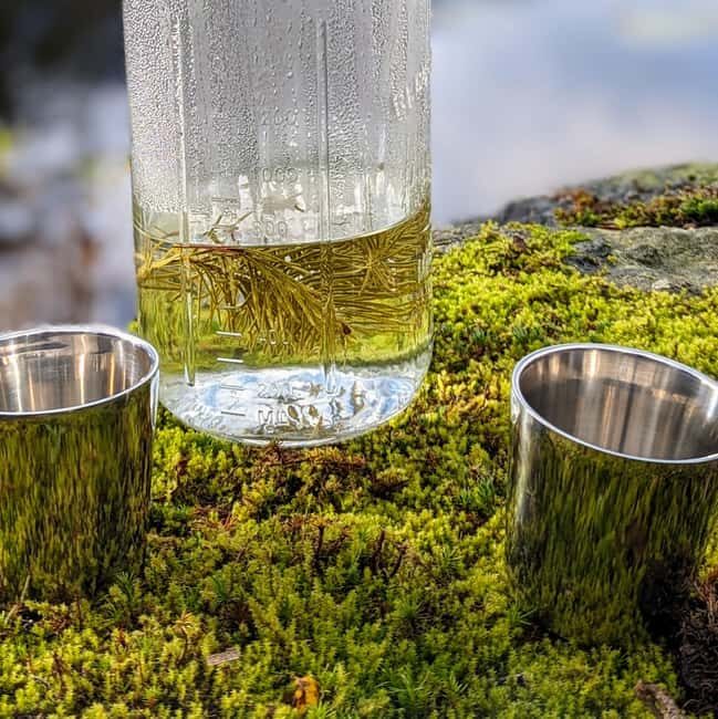 Whistler: Tour, Sensory Nature Experience for Families - Final Thoughts