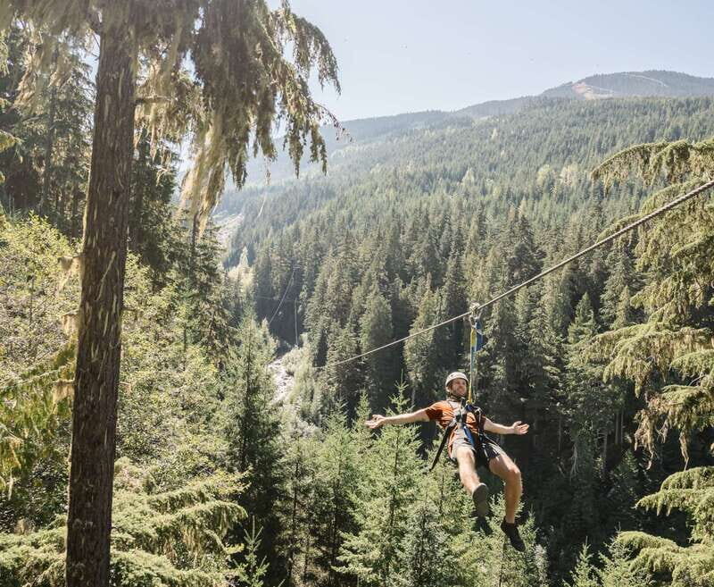 Whistler Zipline Experience: Ziptrek Bear Tour - Key Points