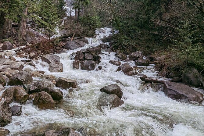 Whistler+Sea 2 Sky Gondola+Shanon Fall+GreenLake+Porteau CoveTour - Final Thoughts