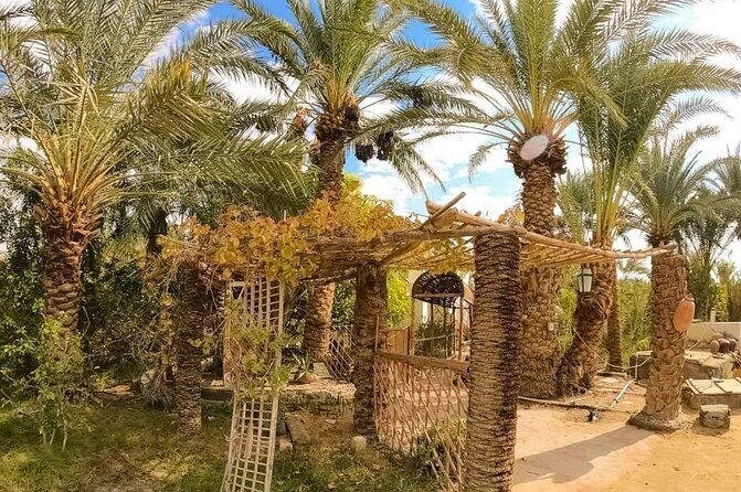 White Desert & Bahariya oasis 3 days 2 nights Tour from Cairo - Who Should Consider This Tour?