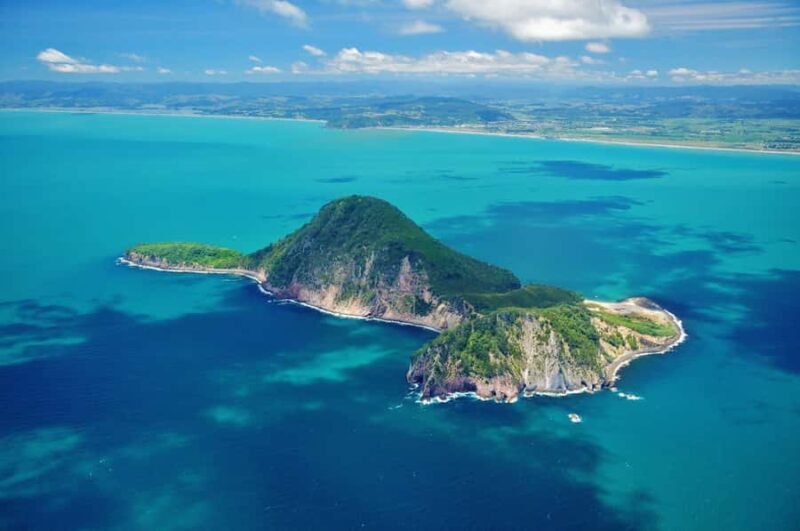 White Island & Whale Island 1-Hour Volcano Scenic Flight - The Itinerary: What You Can Expect