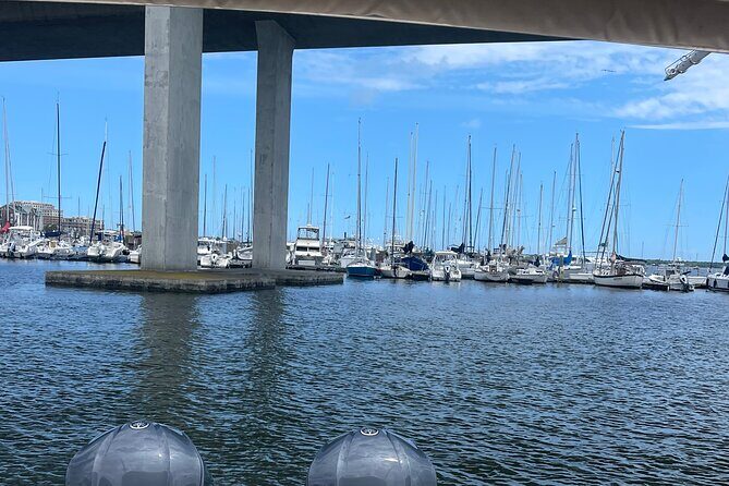 White point Battery and River Run through Charleston Harbor Boat - Key Points