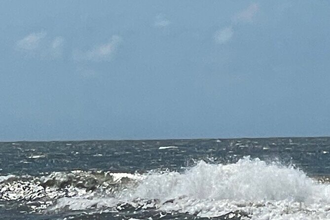 White point Battery and River Run through Charleston Harbor Boat - FAQs