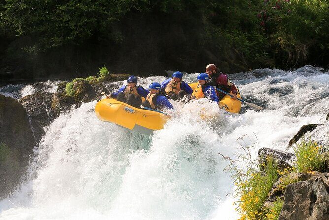 White Salmon River Rafting - Full Day - Who Should Consider This Trip?