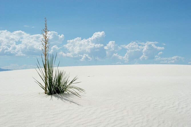 White Sands National Park Self-Guided Audio Tour - Final Thoughts: Is This Tour Worth It?