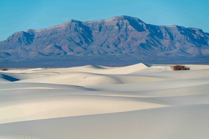 White Sands National Park Self-Guided Driving & Walking Tour - Reviews and Real Traveler Insights