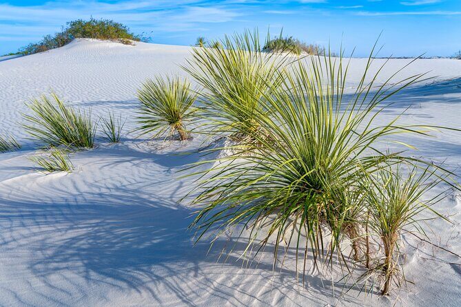 White Sands National Park Self-Guided Driving & Walking Tour - FAQ