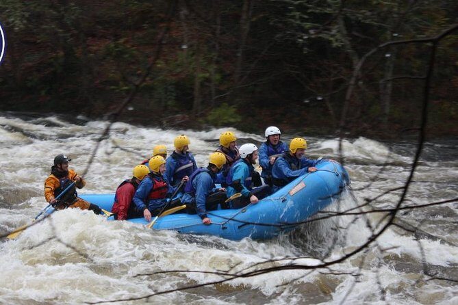 White Water Rafting on the River Tay from Aberfeldy - What to Expect from the Experience