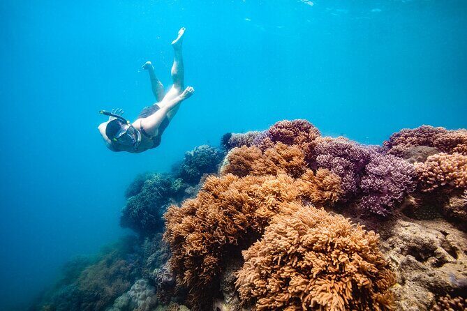 Whitehaven Beach and Hill Inlet Lookout Snorkeling Cruise - The Experience at a Glance